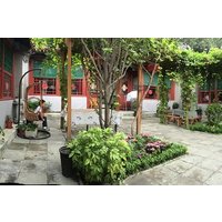 4-stündige private Tour zum Beijing Drum Tower mit Trommel-Performance und Rikscha