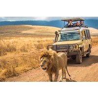 4 Tage Tansania Safari - Tarangire, Serengeti, Ngorongoro Krater