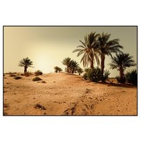 2 Tage Wüstentour von Marrakesch nach Zagora