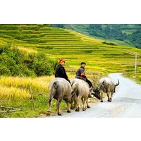 Sapa Villages And Homestay Hard Trekking 2 Tage, 1 Nacht Reise, Mahlzeiten, Reiseleiter,