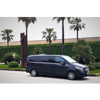 Privater Transfer vom Flughafen Palermo zum Hotel Plaza Opéra oder umgekehrt