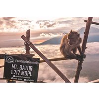 Wandern & Bali Swing