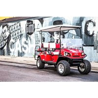 Instagram-Tour zu den Wandmalereien von Nashville im Golfwagen