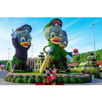 Miracle Garden + Dubai Frame mit gemeinsamen Übertragungen