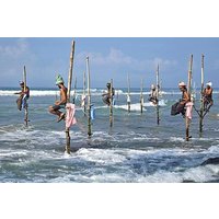 14 Nächte / 15 Tage Sri Lanka Rundreise mit dem Minivan - mit Udawalawa Safari