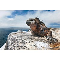 4-tägige Galapagos-Inselhüpftour: Isabela, Bootstouren und Flughafentransfer