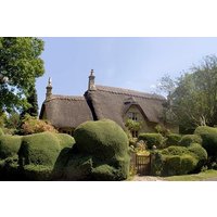 Private Tagestour ab London – Stonehenge, Bath und Cotswolds
