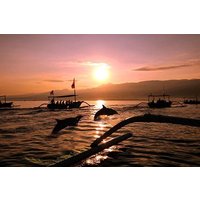 Delfintour und Sonnenaufgangsbeobachtung in Lovina Beach – All Inclusive