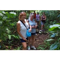 St. Kitts halbtägige Regenwaldtour (Rückbestätigung 48 Stunden)