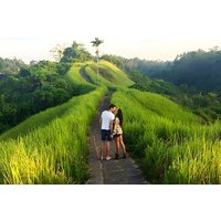 Bali Car-Charter: Halbtägige Ubud Village Tour