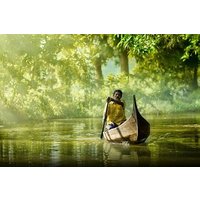 7 Tage Cochin Munnar Thekkady Alleppey Hausboot Special