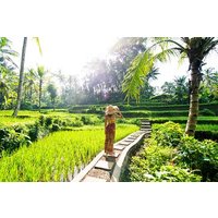 Eat Pray Love Bali Private Tour - Ganzer Tag