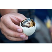 Hoi An: Motorradtour mit Verkostungen und Abendessen