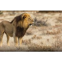 Die beste 1-tägige Selous-Safari ab Sansibar