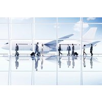 Privater Transfer zum oder vom Flughafen Alexandria und Dulles
