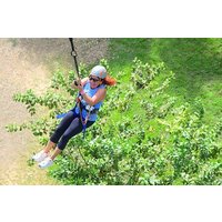 7 Touren Punta Cana: Seilrutsche, Sessellift, Geländefahrzeug, Reiten und mehr!