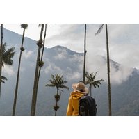 Tagestour zum Reiten im Cocora-Tal und im Salento