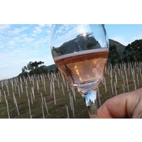 Privates Picknick in den Vinícola-Gärten in Gramado