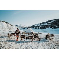 Arktische Fjorde und Rentiererlebnis – Kleingruppentour –