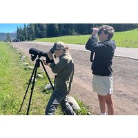 Yellowstone Wildlife Safari im Lamar Valley von Cody, WY