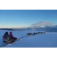 Private Hundeschlittenfahrt in Akureyri
