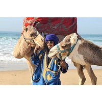 Kamelritt am Strand von Awrir oder Tamraght