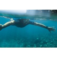 Öko-Schnorcheln und Meeresbiologie in den Cinque Terre