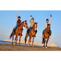 Reiten Muscat Beach
