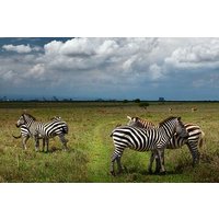 Nairobi-Nationalpark und Tagestour zum Giraffenzentrum