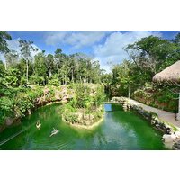 Entdecken Sie die Hidden Xenotes Tour ab Cancun und steigen Sie ab