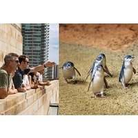 Ganztägige Stadtrundfahrt durch Melbourne mit Pinguinparade