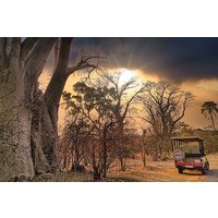 Safarifahrt im Sambesi-Nationalpark