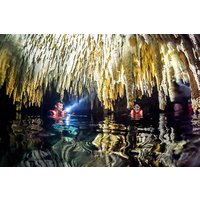 Halbtägige Cenote-Höhlen- und Schwimmen-mit-Schildkröten-Tour in Akumal