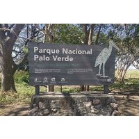 7-stündige private Tour im Palo Verde Nationalpark mit Abholung