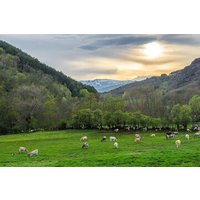 Ganztägige private Führung in Cerdanya