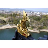 PrivateTransporttour von Nagoya mit lizenziertem Fortgeschrittener