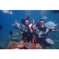 Taucherlebnis für nicht zertifizierte Taucher in Nha Trang