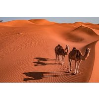 2 Tage und 1 Nacht Private Wahiba Sandwüste mit Wadi