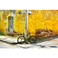Radtour durch Colonia Del Valle und Coyoacán / Mexiko