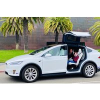 San Francisco Top Sehenswürdigkeiten Private Tour mit einem Luxus Tesla