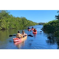 Kajakverleih in Vero Beach