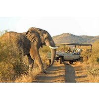 3-tägige Madikwe-Safari ab Johannesburg