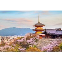 Englischsprachige Tour zu den Highlights von Osaka, Kyoto und Nara