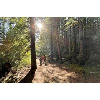 Naturwanderungen im Pazifik