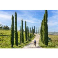 Private E-Bike Tour von San Gimignano nach Siena + Abholung & Rückgabe