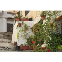 Privater Ausflug in die Alpujarras von Granada mit Wanderung