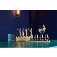 London Gin Tasting und Masterclass