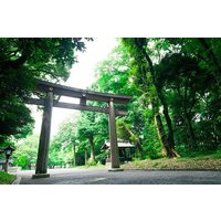 Tokio Top 5 Sehenswürdigkeiten in 6 Stunden lizenzierter Guide Private Walking Tour