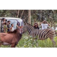 Tour 2: nach Kwame Nkrumah und Safari Resort