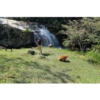 Natürliches Antioquia: Eintägiger Rückzugsort mit Yoga und Fluss.